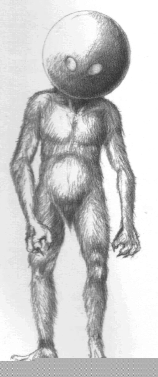 Dessin d'un humanoide tel qu'observ&eacute; &agrave; Valensole