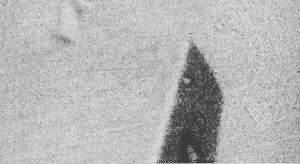 La "chose" inconnue sur la gauche d'un de l'aile d'un C-119