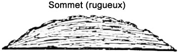 Dessin de Smith repr&eacute;sentant son observation de 1947