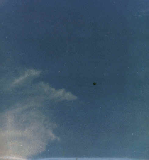 L'objet photographi&eacute; &agrave; Cocoyoc (Mexique)