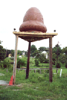 Santilli en 1995, tenant la bo&icirc;te d'une des bobine du pr&eacute;tendu film d'autopsie d'un extraterrestre