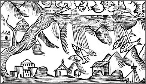 Gravure d'une pluie de poissons s1 O. Magnus, 1555