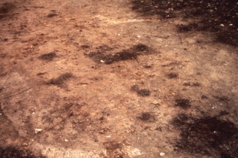 La trace circulaire photographi&eacute;e au sol